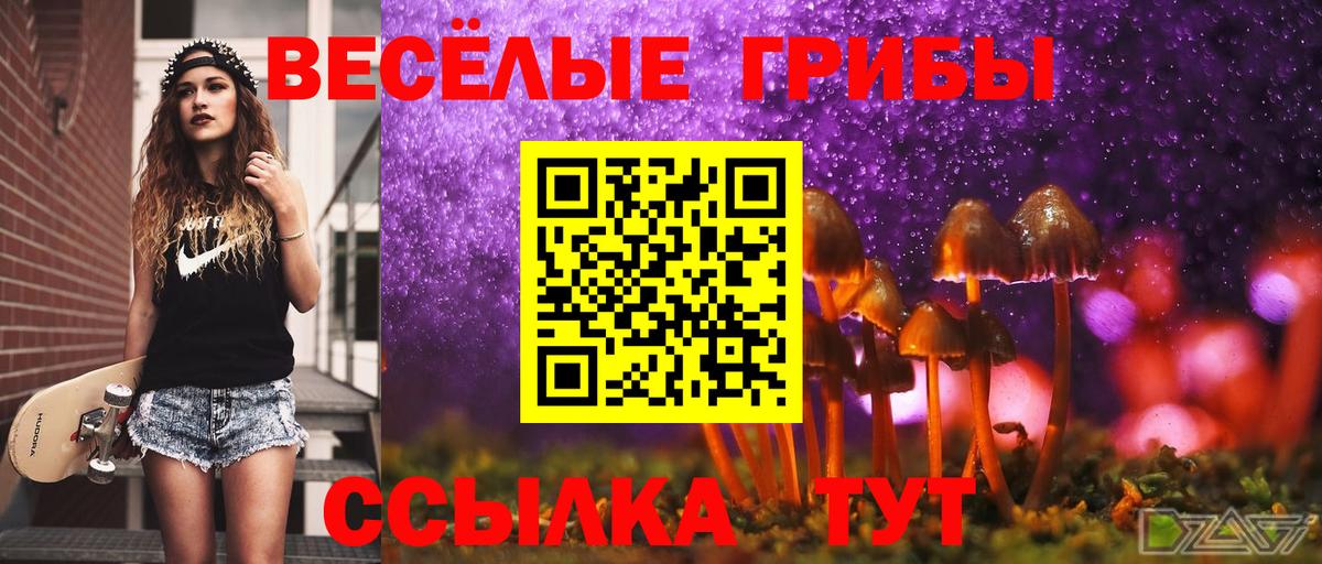 дарнет шоп  Вход с VPN  Кудрово  Галлюциногенные грибы мицелий 